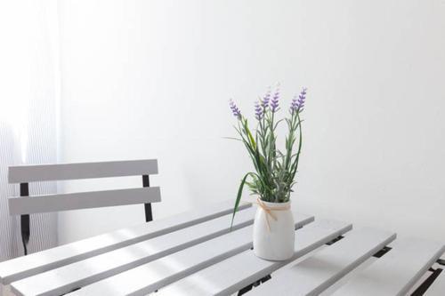 Domus Merulana Bed And Breakfast Ρώμη Εξωτερικό φωτογραφία